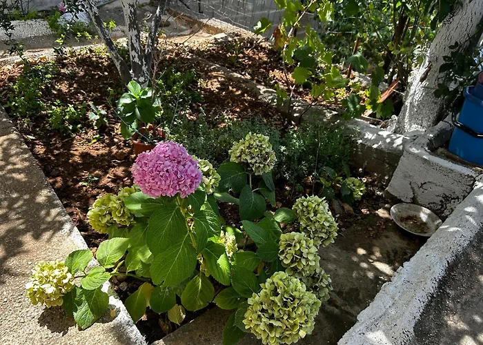 Affittacamere Andrea Vlorë